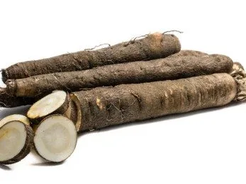 Scorzonera